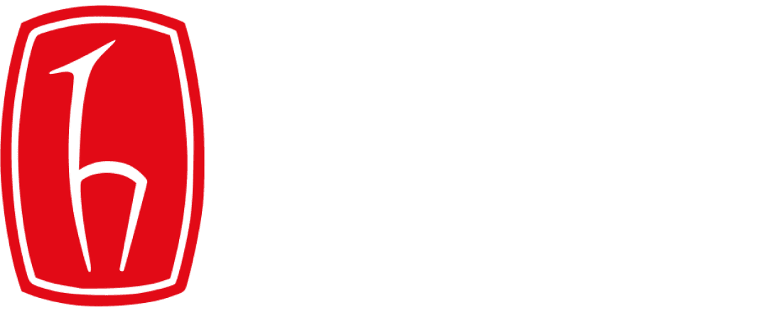 Hacettepe University Logo