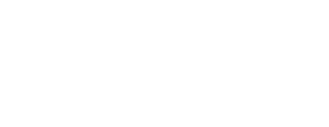 Project Logo